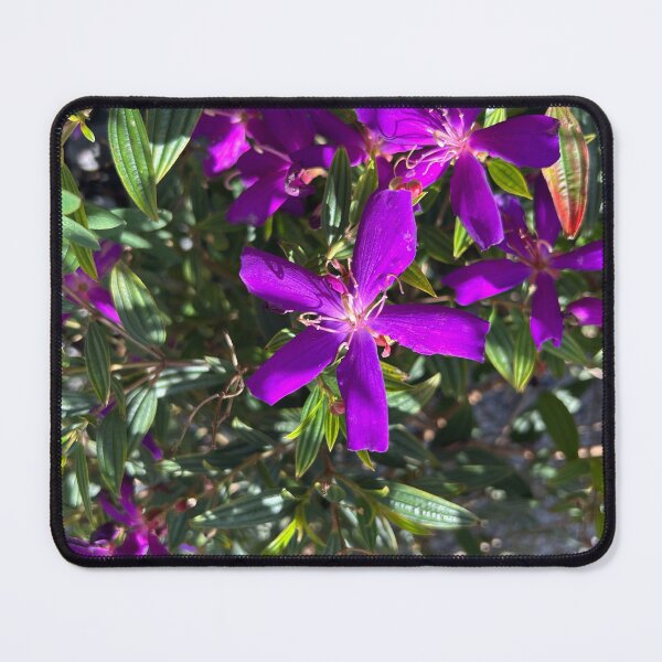 Item preview, Vero beach Florida designed and sold by Lauracolleen3.