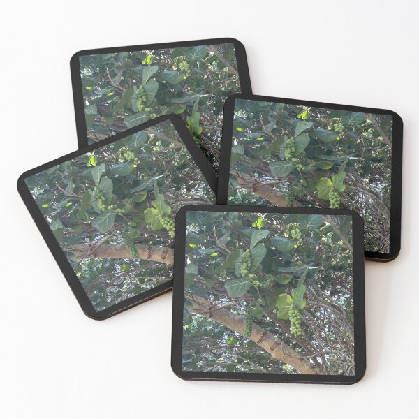 Item preview, Vero beach, beach grapes  designed and sold by Lauracolleen3.