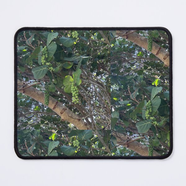 Item preview, Vero beach, beach grapes  designed and sold by Lauracolleen3.
