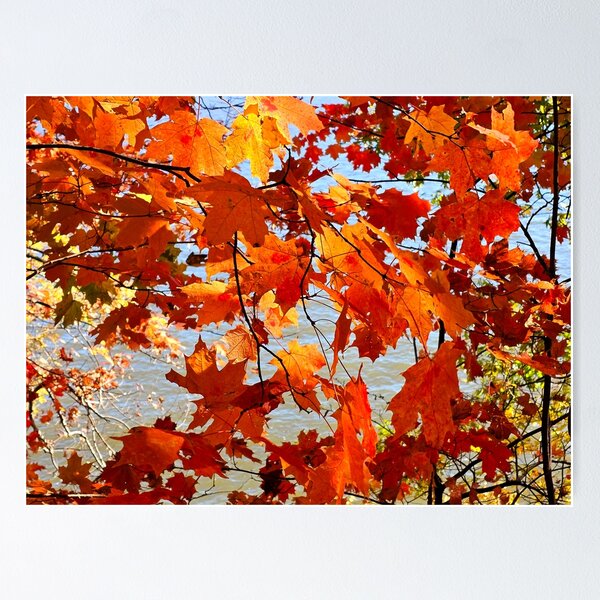Item preview, Autumn Rhapsody designed and sold by Alla Gill.