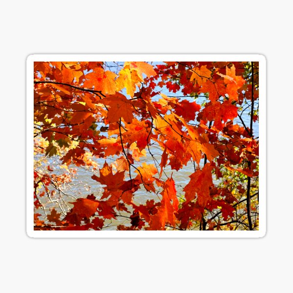 Item preview, Autumn Rhapsody designed and sold by Alla Gill.