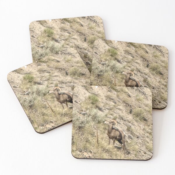Aperçu de l'œuvre Mouflon d'Amérique créée et vendue par NoRestDesigns.