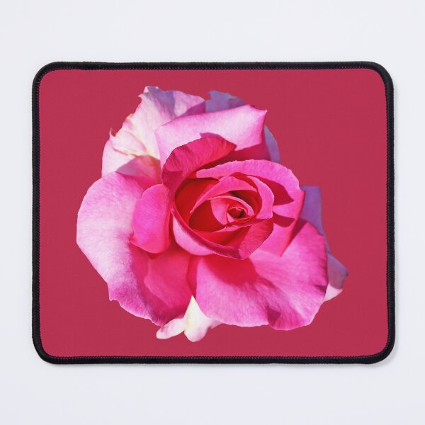 Item preview, Pink Rose on Magenta designed and sold by STHogan2.