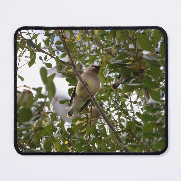 Item preview, Fruit Bird designed and sold by Ononta Nomads.