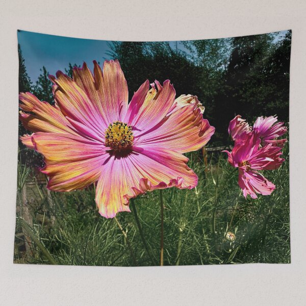 Item preview, Parasol designed and sold by Steve Walser.