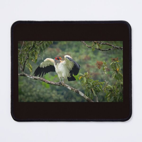 Item preview, King Vulture  designed and sold by Shannon Emmel .
