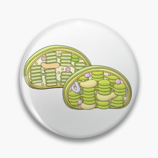 Item preview, Chloroplast Illustration designed and sold by taylorcustom.