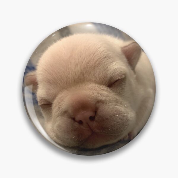 Item preview, sleepy pibble designed and sold by PibbleArts.
