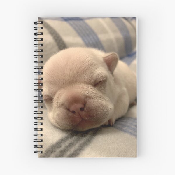 Item preview, sleepy pibble designed and sold by PibbleArts.