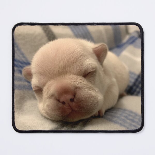 Item preview, sleepy pibble designed and sold by PibbleArts.