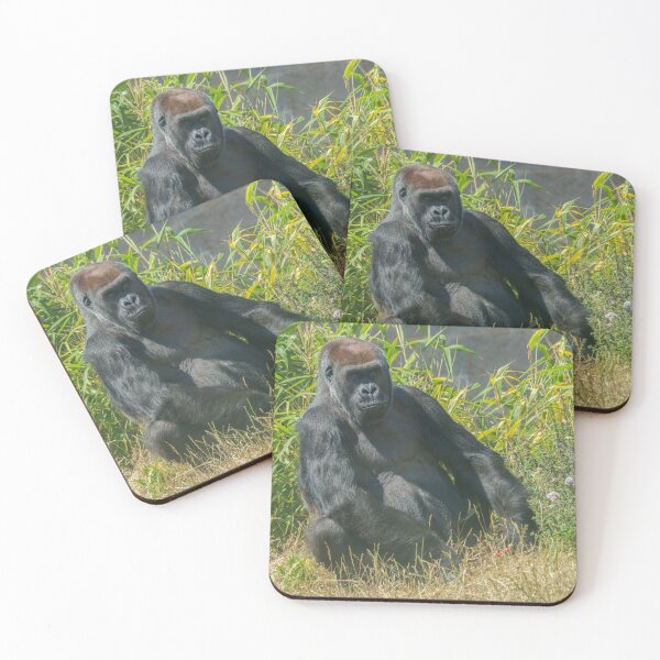 Item preview, The Quiet Soul – Gorilla Aunt Asante designed and sold by rawshutterbug.