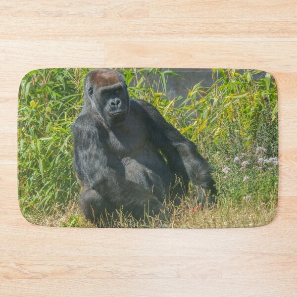 Item preview, The Quiet Soul – Gorilla Aunt Asante designed and sold by rawshutterbug.