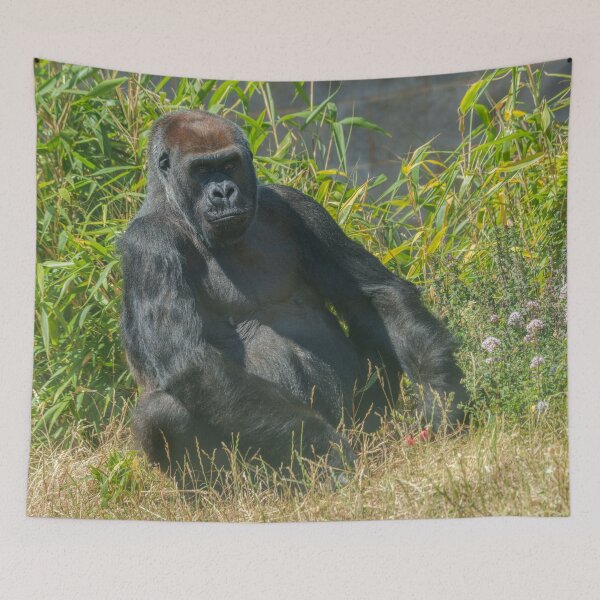 Item preview, The Quiet Soul – Gorilla Aunt Asante designed and sold by rawshutterbug.