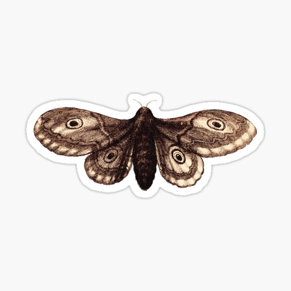 Item preview, moth 2 designed and sold by tizzyteeth.