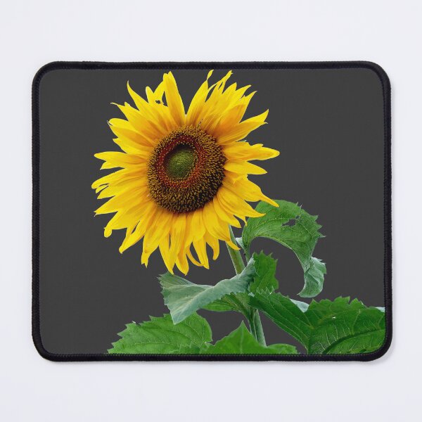 Item preview, Dark Sunflower designed and sold by Siene Browne.