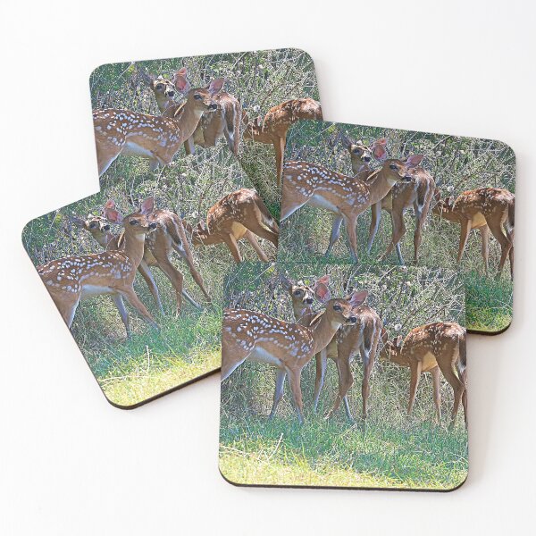 Item preview, 3 Deer Fawn babies hiding in the shade of a Texas tree designed and sold by RobynPeters1836.