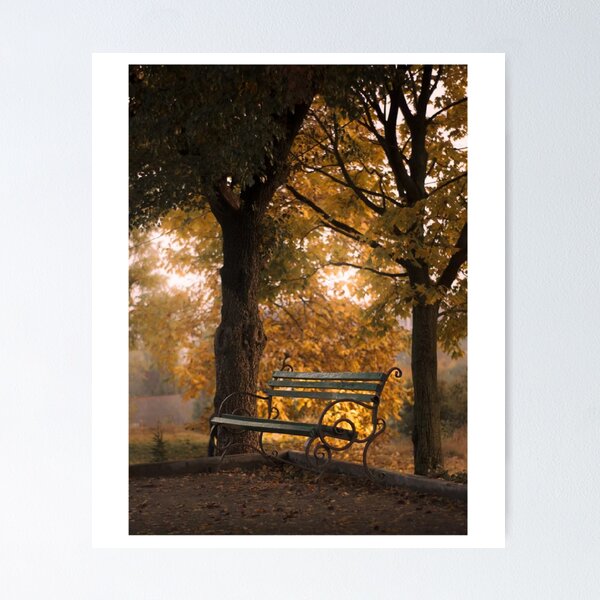 Aperçu de l'œuvre Impression photographique d'un paysage d'arbres d'automne sur un banc créée et vendue par Mother-Nature65.