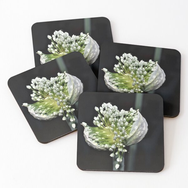 Item preview, Flowering Spring Onion designed and sold by Yolanda Caporn Art.