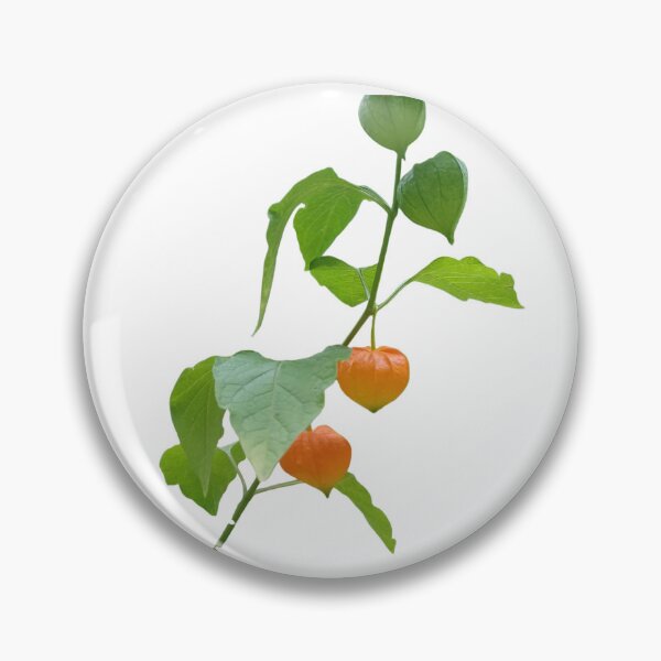 Item preview, Physalis plant designed and sold by Zoé ❤.