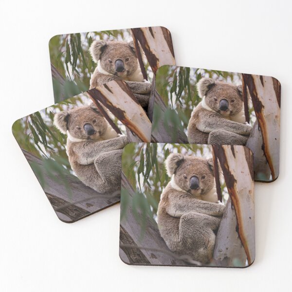 Item preview, Cute Koala, Aussie Icon designed and sold by RunamukHQ.