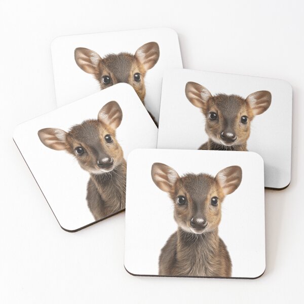 Item preview, Adorable Baby Muntjac for Cute Muntjac lovers designed and sold by LazyOwlStore.