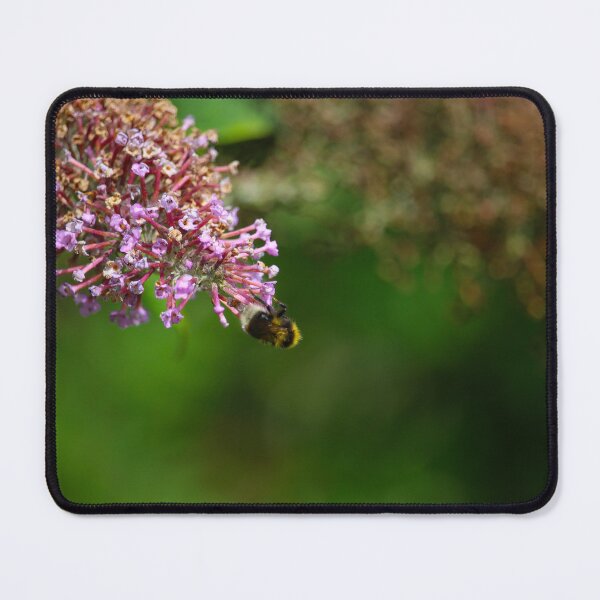 Item preview, Honey bee on flowers designed and sold by sammbramm.