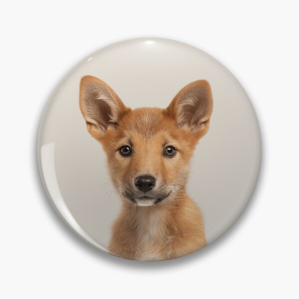 Item preview, Adorable Baby Dingo for Cute Dingo lovers designed and sold by LazyOwlStore.