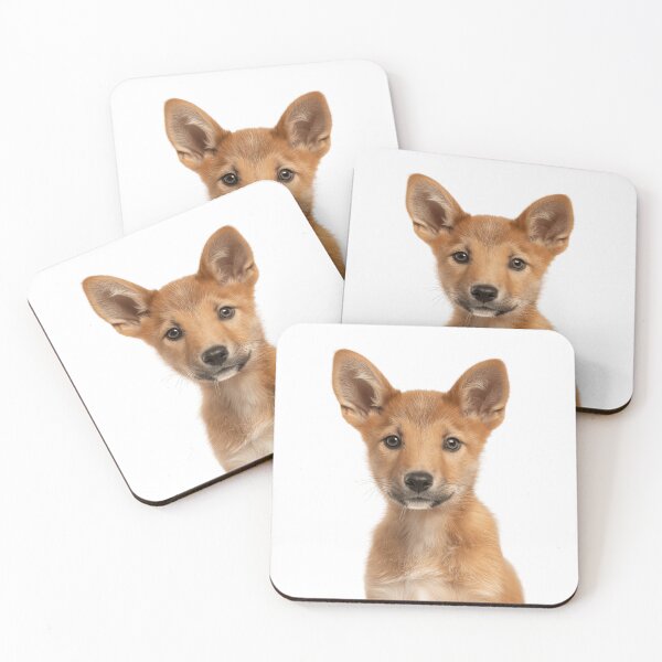 Item preview, Adorable Baby Dingo for Cute Dingo lovers designed and sold by LazyOwlStore.