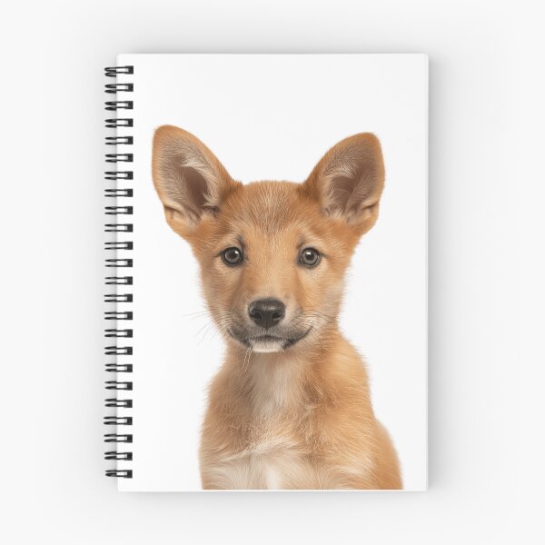 Item preview, Adorable Baby Dingo for Cute Dingo lovers designed and sold by LazyOwlStore.