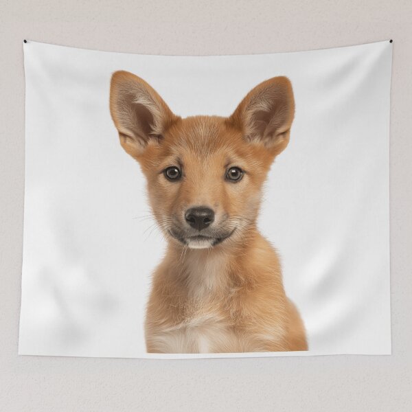 Item preview, Adorable Baby Dingo for Cute Dingo lovers designed and sold by LazyOwlStore.