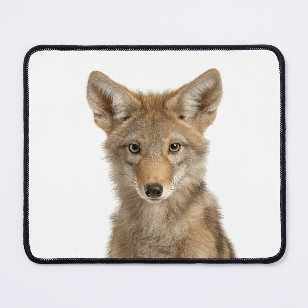 Item preview, Adorable Baby Coyote for Cute Coyote lovers designed and sold by LazyOwlStore.