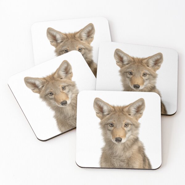 Item preview, Adorable Baby Coyote for Cute Coyote lovers designed and sold by LazyOwlStore.