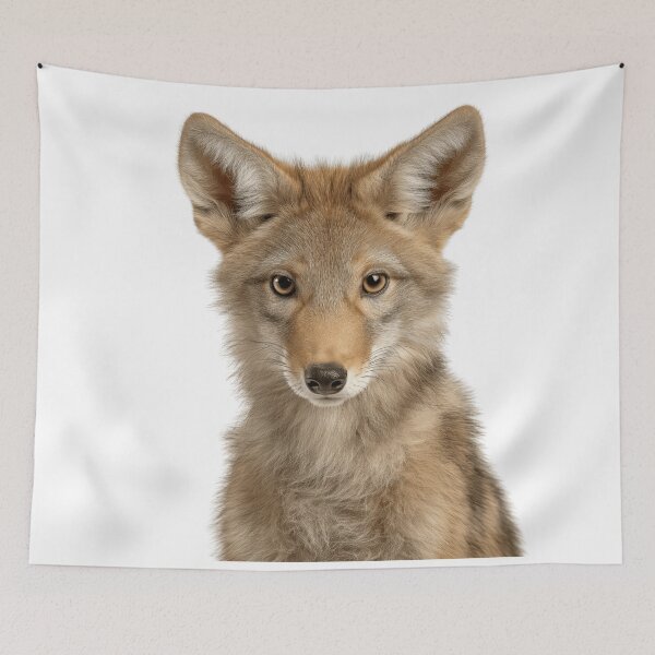 Item preview, Adorable Baby Coyote for Cute Coyote lovers designed and sold by LazyOwlStore.