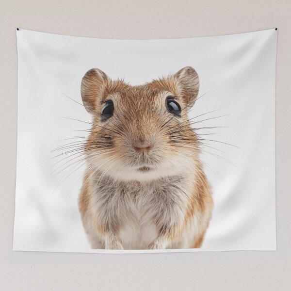 Item preview, Adorable Baby Gerbil for Cute Gerbil lovers designed and sold by LazyOwlStore.