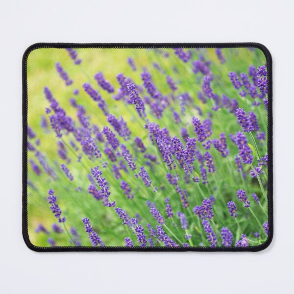 Item preview, Summery Lavender designed and sold by Kasia Design.
