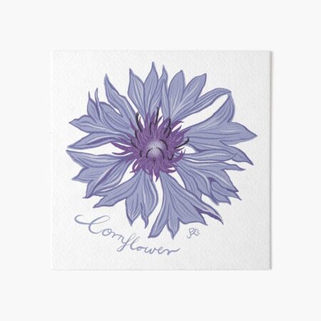 Item preview, Cornflower wildflower design designed and sold by PaulaJKnight .