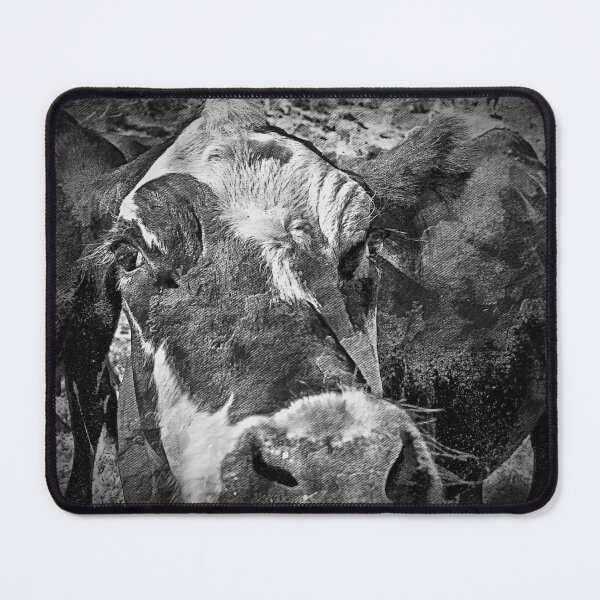 Item preview, Nosey cow designed and sold by ImagesbyCharyn.