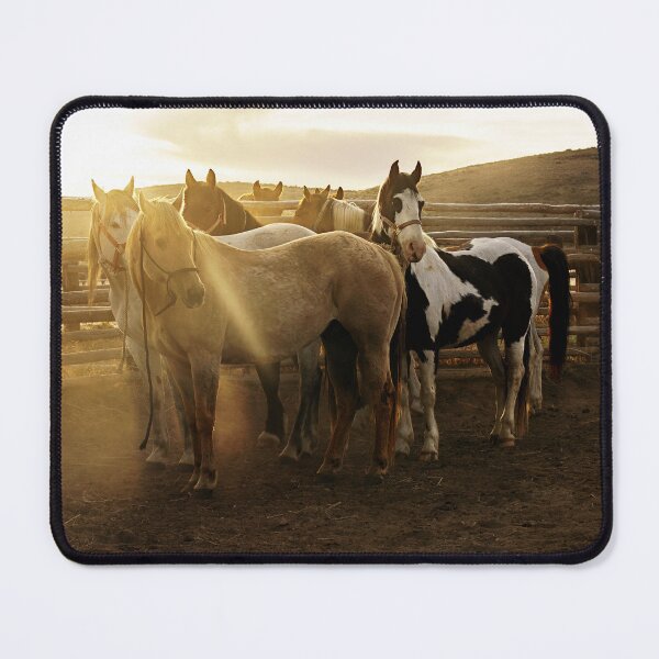 Item preview, Horses in the Round Pen designed and sold by ImagesbyCharyn.