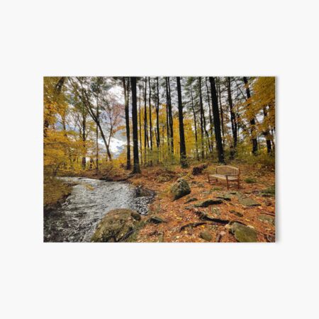Vista previa del artículo con la obra «Un lugar tranquilo en el bosque», diseñado y vendido por NW Photos & Designs.