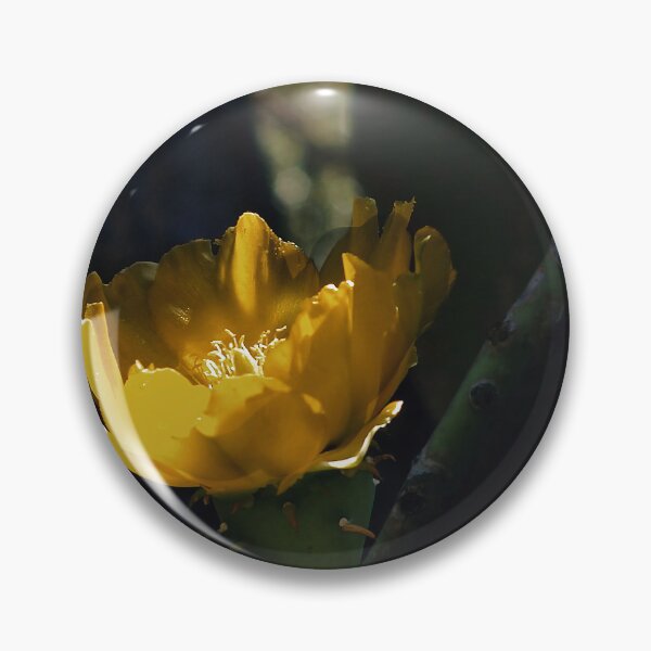 Item preview, Cactus Flowers designed and sold by John Dauer.