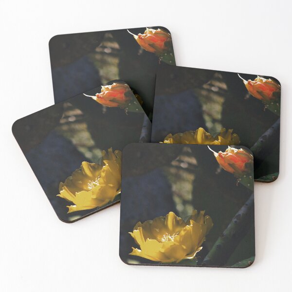 Item preview, Cactus Flowers designed and sold by John Dauer.