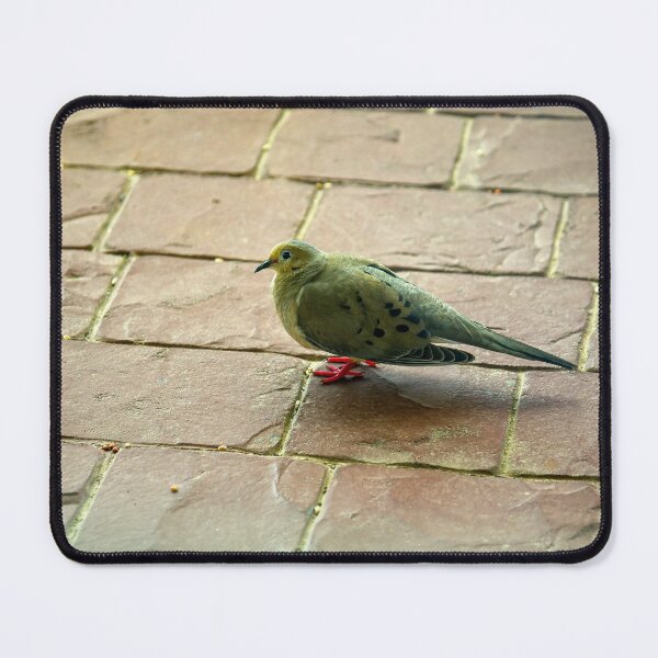 Item preview, A green bird sitting on cobblestone floor  designed and sold by OzzyluArt.