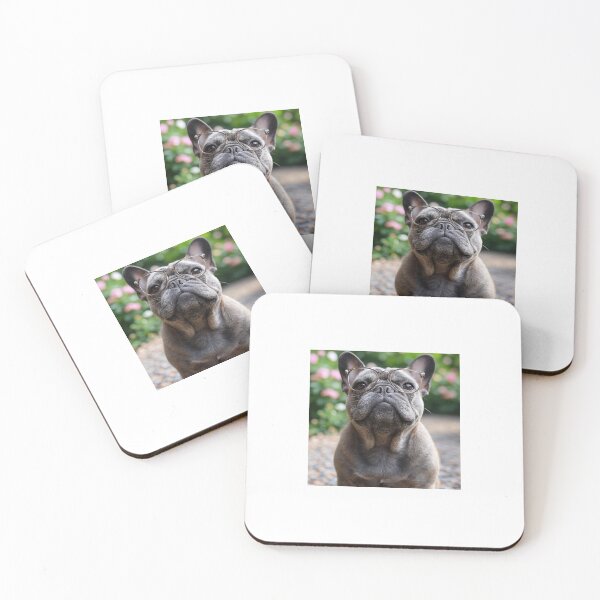 Item preview, Bespectacled French Bulldog designed and sold by Your Buddy Anthony.