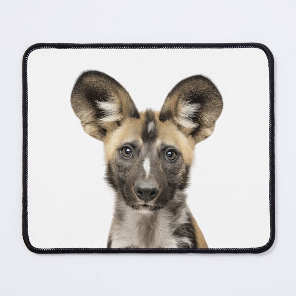 Item preview, Adorable Baby African Wild dog for Cute African Wild dog lovers designed and sold by LazyOwlStore.
