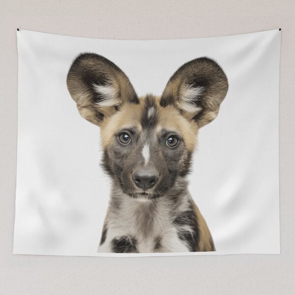 Item preview, Adorable Baby African Wild dog for Cute African Wild dog lovers designed and sold by LazyOwlStore.
