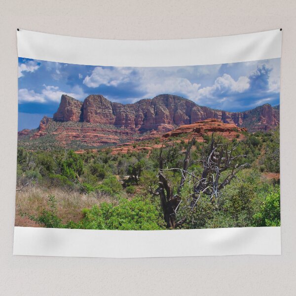 Artikelvorschau, Sedona – Courthouse Butte und Bell Rock Panorama entworfen und verkauft von John Dauer.