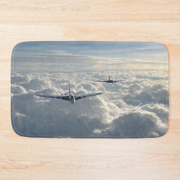 Item preview, Skybound Companions designed and sold by Skyframe Aviation.
