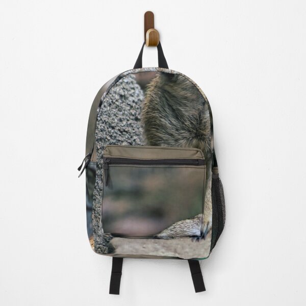 Item preview, What to Do Next designed and sold by John Dauer.