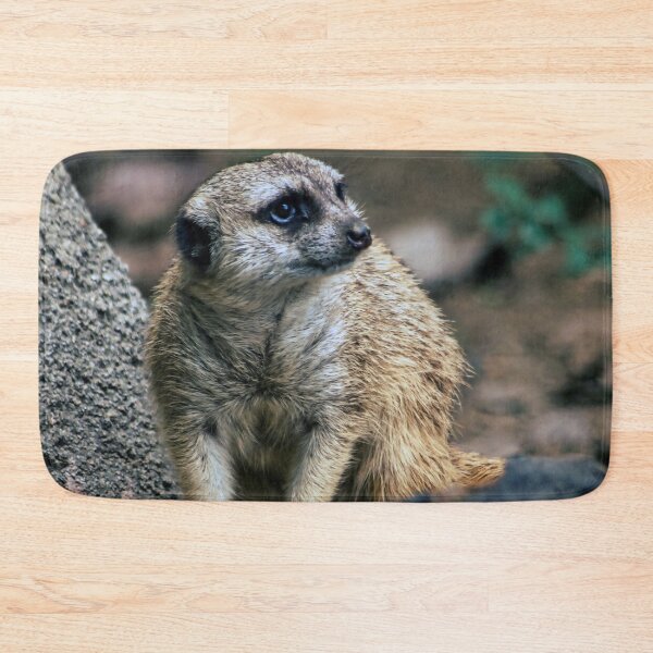 Item preview, What to Do Next designed and sold by John Dauer.