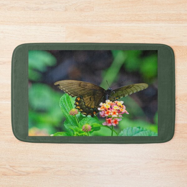 Item preview, Fly By designed and sold by John Dauer.